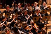 Macht seinem Namen keine Ehre: Das Kleine Sinfonische Orchester bei einem Konzert in der Berliner Philharmonie (2023)